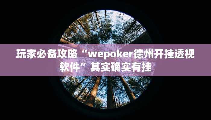 玩家必备攻略“wepoker德州开挂透视软件”其实确实有挂