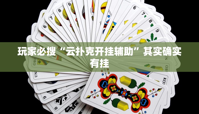 玩家必搜“云扑克开挂辅助”其实确实有挂