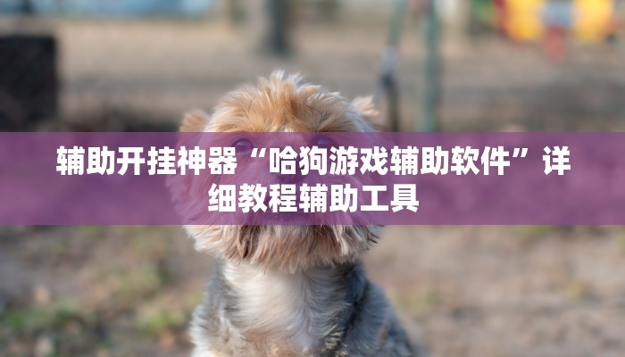 辅助开挂神器“哈狗游戏辅助软件”详细教程辅助工具