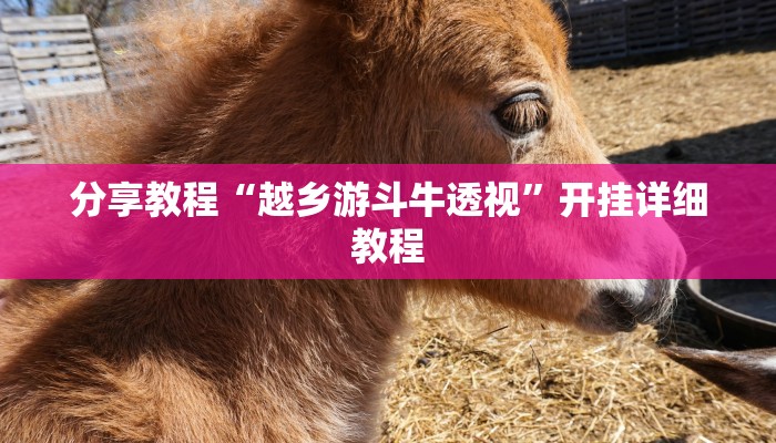 分享教程“越乡游斗牛透视”开挂详细教程