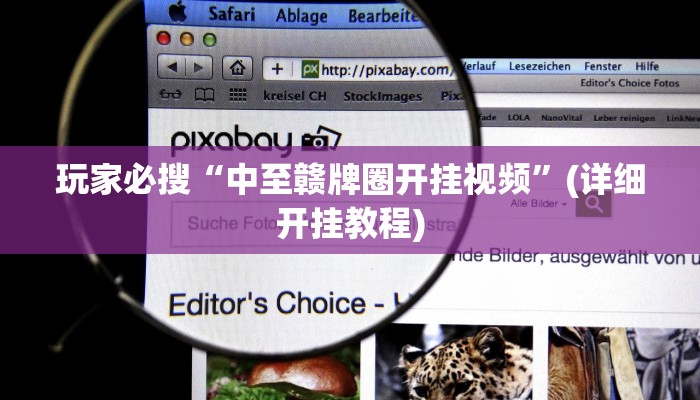 玩家必搜“中至赣牌圈开挂视频”(详细开挂教程)