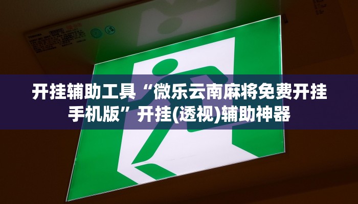 开挂辅助工具“微乐云南麻将免费开挂手机版”开挂(透视)辅助神器