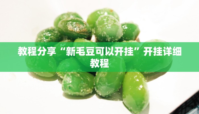 教程分享“新毛豆可以开挂”开挂详细教程