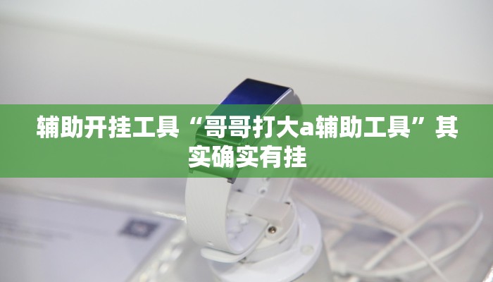 辅助开挂工具“哥哥打大a辅助工具”其实确实有挂