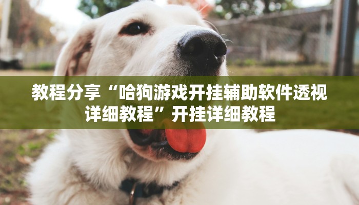 教程分享“哈狗游戏开挂辅助软件透视详细教程”开挂详细教程