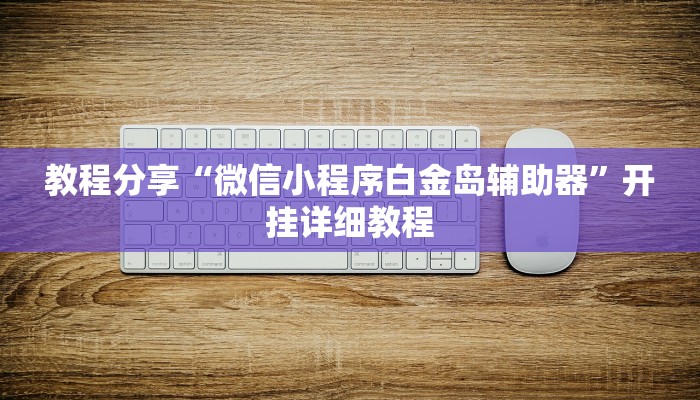 教程分享“微信小程序白金岛辅助器”开挂详细教程