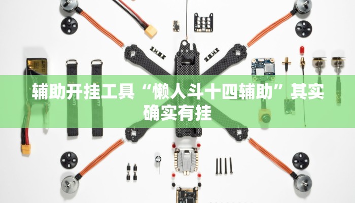辅助开挂工具“懒人斗十四辅助”其实确实有挂