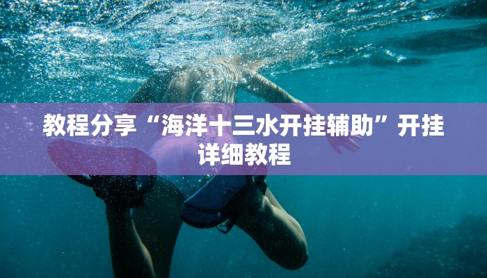 教程分享“海洋十三水开挂辅助”开挂详细教程