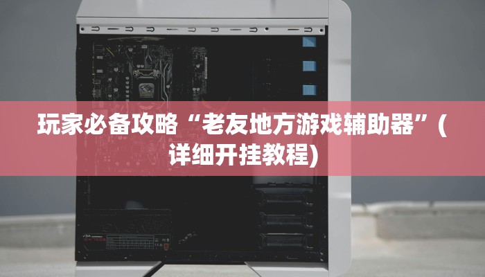 玩家必备攻略“老友地方游戏辅助器”(详细开挂教程)