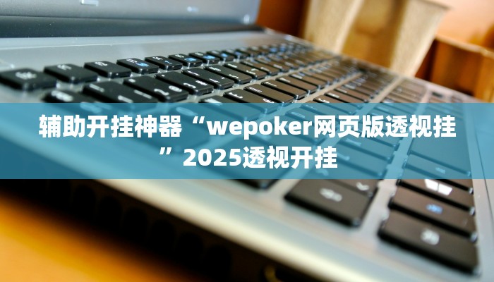 辅助开挂神器“wepoker网页版透视挂”2025透视开挂