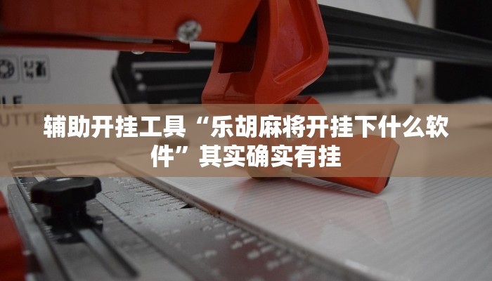 辅助开挂工具“乐胡麻将开挂下什么软件”其实确实有挂