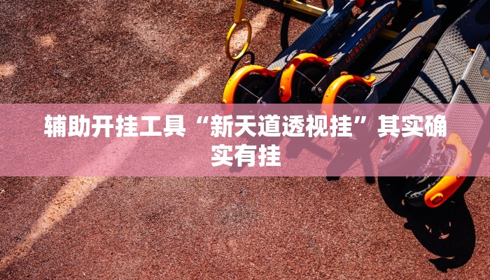 辅助开挂工具“新天道透视挂”其实确实有挂