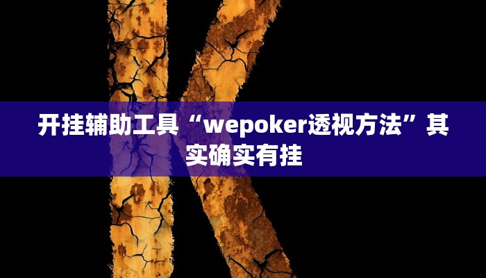 开挂辅助工具“wepoker透视方法”其实确实有挂