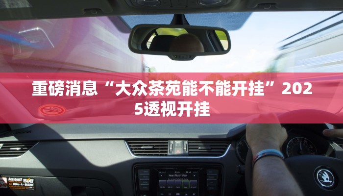 教程分享“四季湖南麻将有挂吗可以开挂吗”详细教程辅助工具