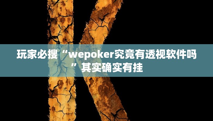 玩家必搜“wepoker究竟有透视软件吗”其实确实有挂