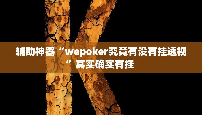 辅助神器“wepoker究竟有没有挂透视”其实确实有挂 