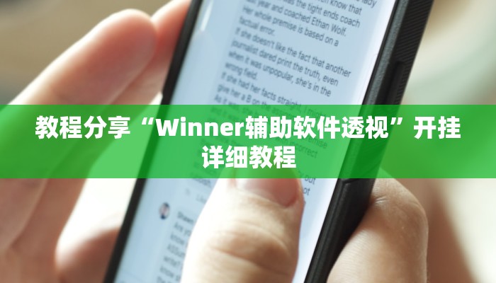 教程分享“Winner辅助软件透视”开挂详细教程
