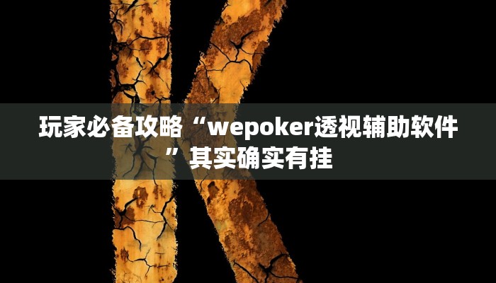 玩家必备攻略“wepoker透视辅助软件”其实确实有挂