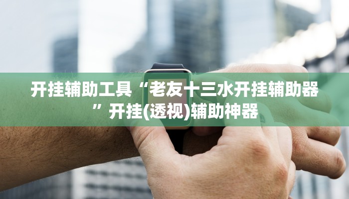 开挂辅助工具“老友十三水开挂辅助器”开挂(透视)辅助神器