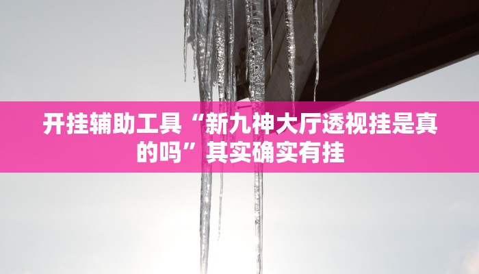 开挂辅助工具“新九神大厅透视挂是真的吗”其实确实有挂