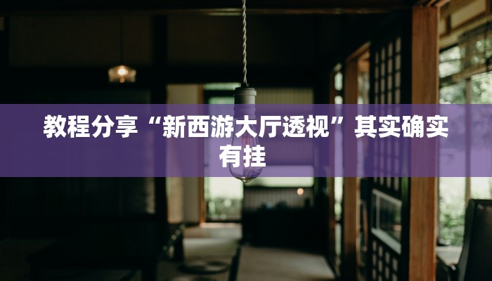 教程分享“新西游大厅透视”其实确实有挂 