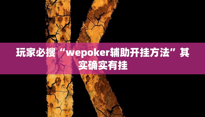 玩家必搜“wepoker辅助开挂方法”其实确实有挂