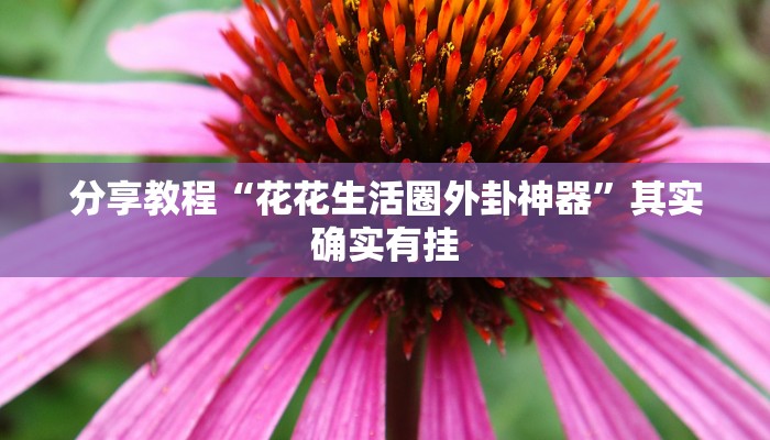 分享教程“花花生活圈外卦神器”其实确实有挂