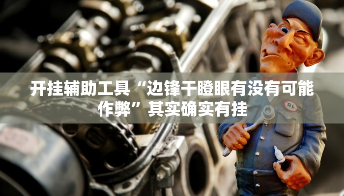 开挂辅助工具“边锋干瞪眼有没有可能作弊”其实确实有挂