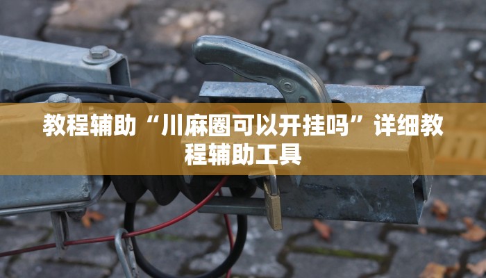 教程辅助“川麻圈可以开挂吗”详细教程辅助工具