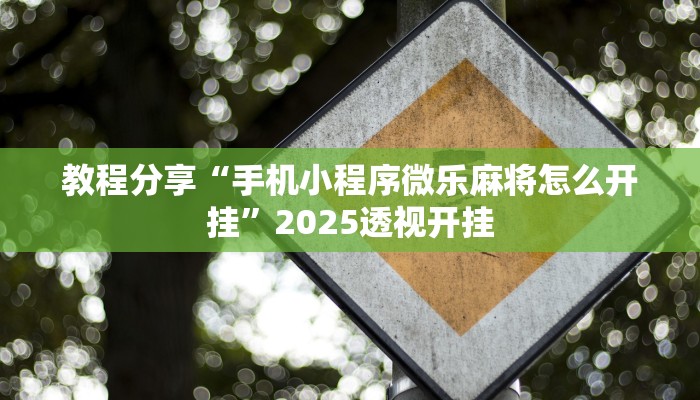 教程分享“手机小程序微乐麻将怎么开挂”2025透视开挂