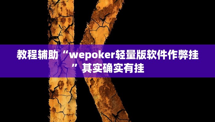 教程辅助“wepoker轻量版软件作弊挂”其实确实有挂