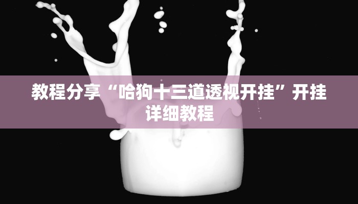 教程分享“哈狗十三道透视开挂”开挂详细教程