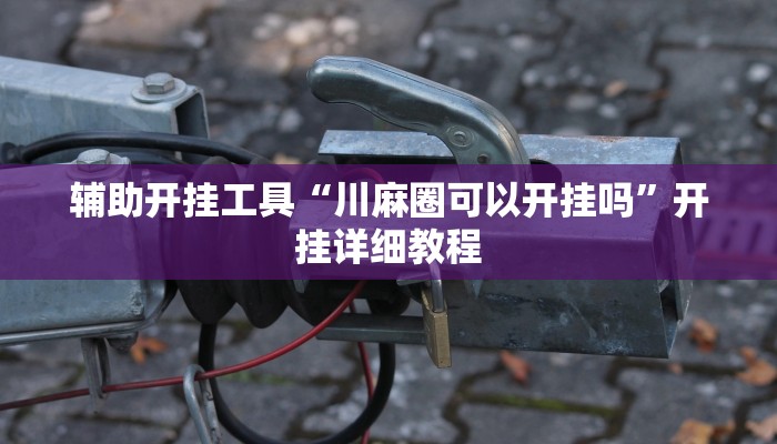 辅助开挂工具“川麻圈可以开挂吗”开挂详细教程