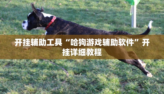 辅助开挂工具“欢喜广西麻将可以开挂吗”其实确实有挂