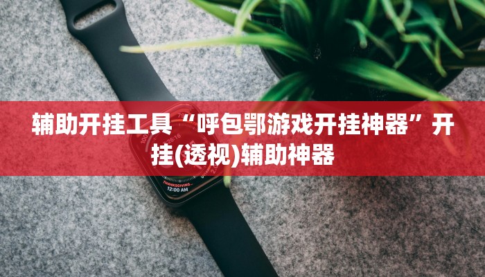 辅助开挂工具“呼包鄂游戏开挂神器”开挂(透视)辅助神器