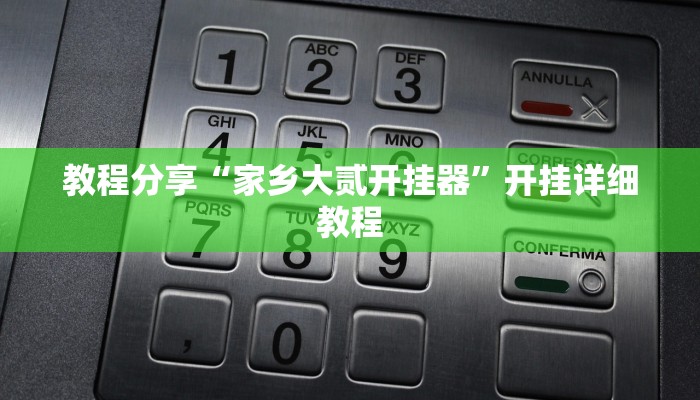 教程分享“家乡大贰开挂器”开挂详细教程