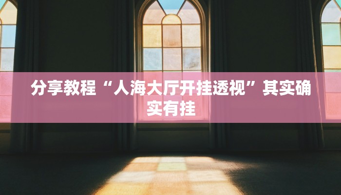 分享教程“人海大厅开挂透视”其实确实有挂