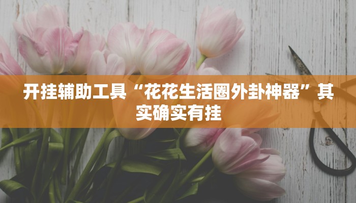 开挂辅助工具“花花生活圈外卦神器”其实确实有挂