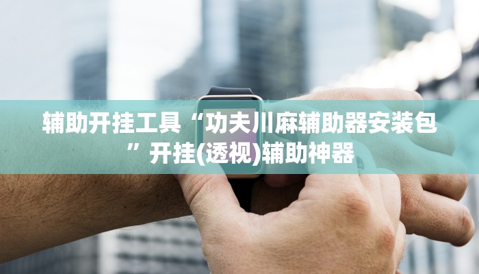 辅助开挂工具“功夫川麻辅助器安装包”开挂(透视)辅助神器