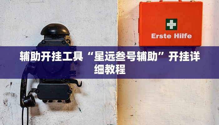 辅助开挂工具“星远叁号辅助”开挂详细教程