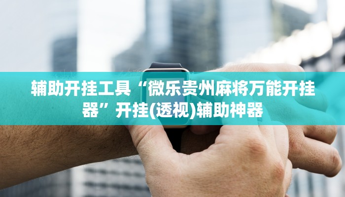 辅助开挂工具“微乐贵州麻将万能开挂器”开挂(透视)辅助神器