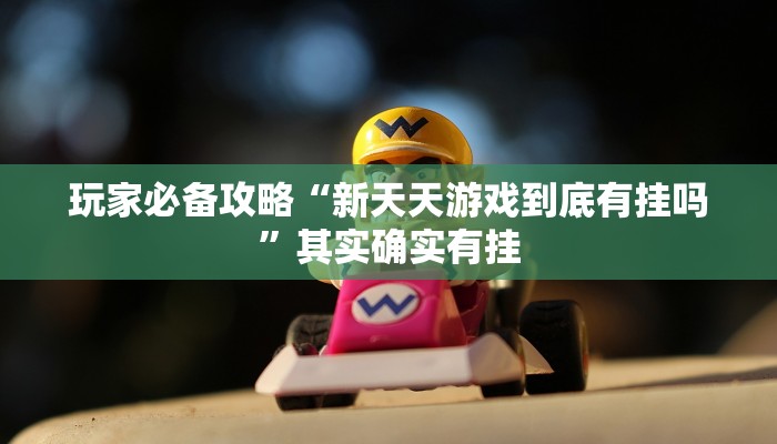 玩家必备攻略“新天天游戏到底有挂吗”其实确实有挂