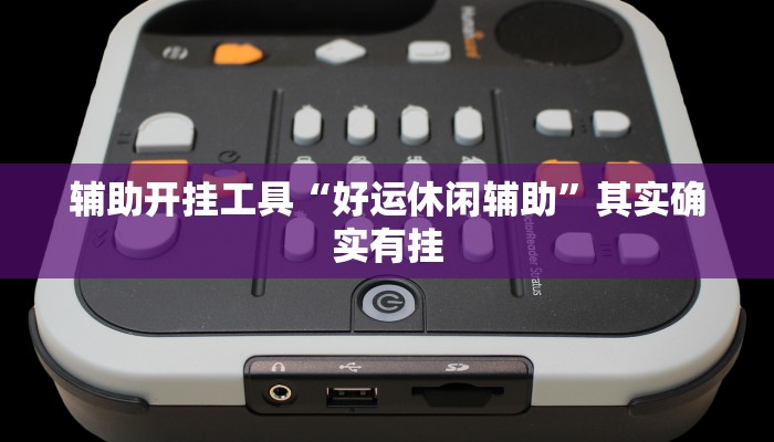 辅助开挂工具“好运休闲辅助”其实确实有挂