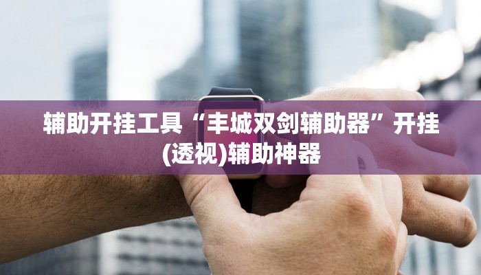 辅助开挂工具“丰城双剑辅助器”开挂(透视)辅助神器