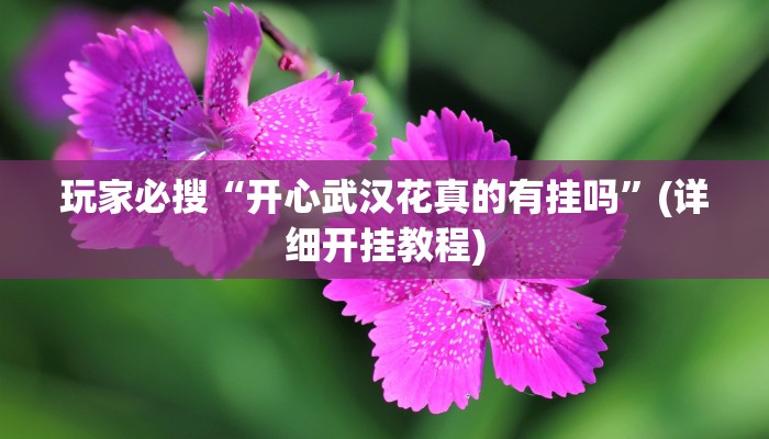 玩家必搜“开心武汉花真的有挂吗”(详细开挂教程)