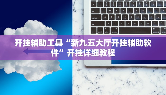 开挂辅助工具“新九五大厅开挂辅助软件”开挂详细教程