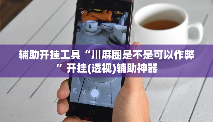 玩家必搜“罗松十三道到底有挂吗”(详细开挂教程)