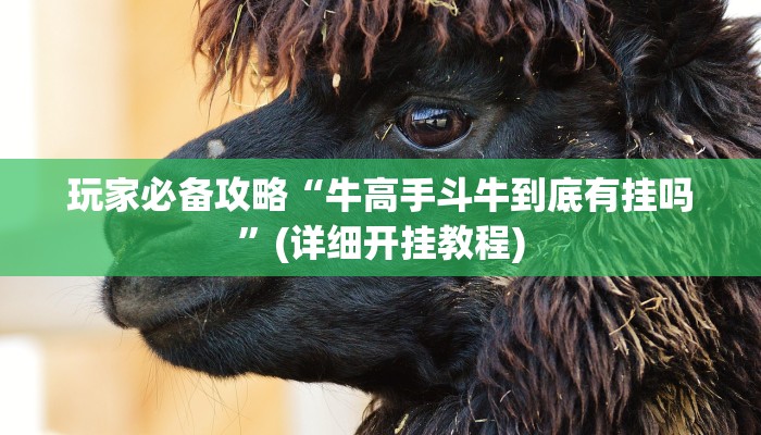 玩家必备攻略“牛高手斗牛到底有挂吗”(详细开挂教程)