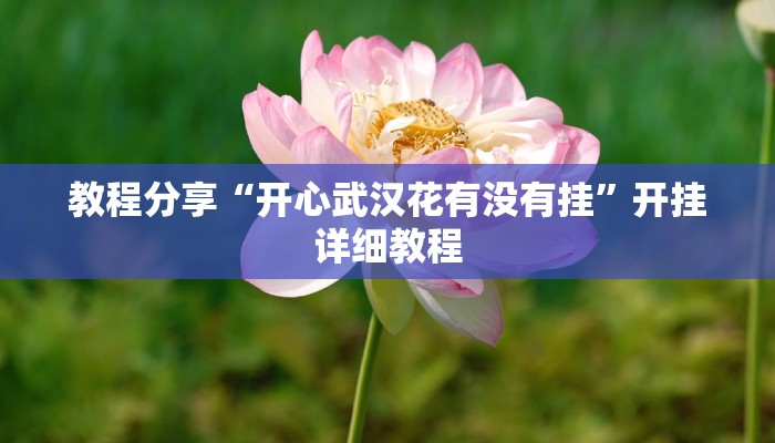 教程分享“开心武汉花有没有挂”开挂详细教程
