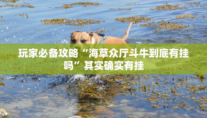 玩家必备攻略“海草众厅斗牛到底有挂吗”其实确实有挂